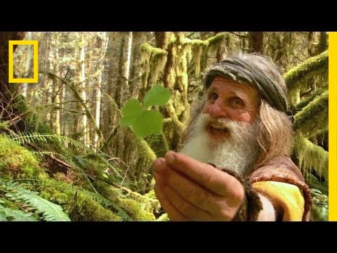 Meet Mick Dodge
