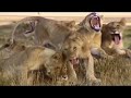 Paul Mauriat - Alouette (V mire zhivotnyh)