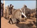 Kazanga Ceremony of the Nkoya People in Zambia, Africa
