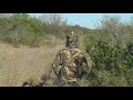 Deer Hunting - Rattled Up Rutting Buck- Deer Hunting