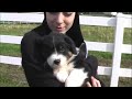 dr-lori-debbie-tucker.html