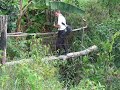 Crossing a high quality bridge!
