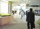 a walk from shinagawa station