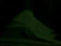 pontianak yang berjaya dirakam dengan handphone