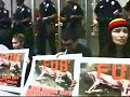 DIMMEN ANIMAL PROTECTION  PROTEST SONG    ENGLISH VERSION - MULTI COMPLAIN MIX    ( official video )