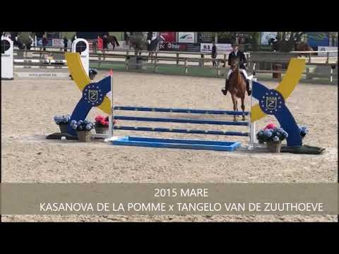 PIA MARIA 4-YO CYCLUS LIER MAY 2019