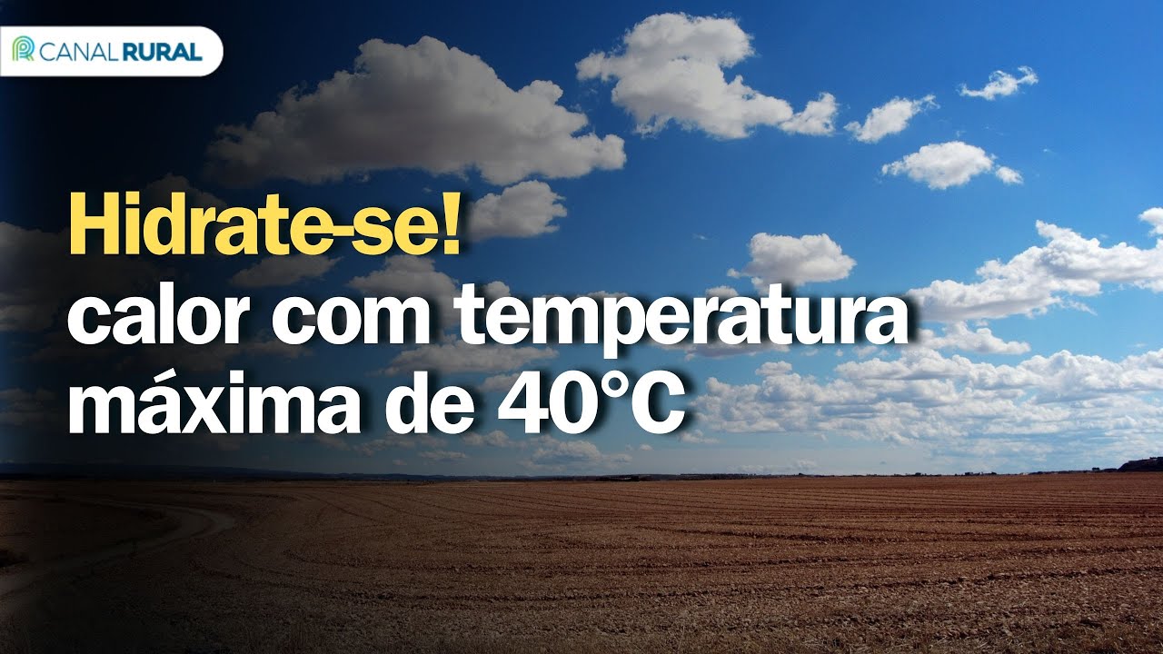 Alerta: calor com temperatura máxima de 40°C | Previsão do tempo | 24h