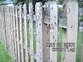 17 year chicago cicada infestation
