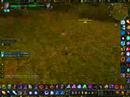doomhammer-wsg.html