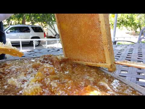 how to harvest honey