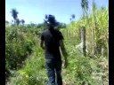 videos de para zota bea y borja!!!