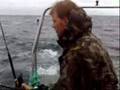 Nice coalfish
