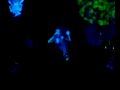 friday-ill-be-dead-erik-sumo-band.html
