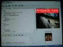 pedofile