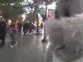 bunny on the strip