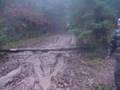 Просмотр видео
