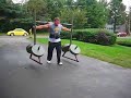 880 lb Yoke for 85 feet