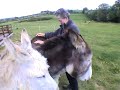 Animal Communication