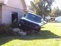 ChronicleT.com   Impala 'parks' in the wrong spot