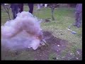 3 volcanoes made of gun powder ;)
