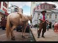 m�sica que canta a hist�ria da bombacha preta, seus resqu�cios, suas mem�rias.
contatos para  shows com roberto zorzan
fone: (51)33644553 ou 9982-4816