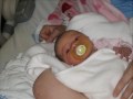 Kadence Ann Stanley - The Second Day