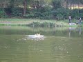 Bergeboot schwimmen