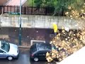 remains of leafblower days   