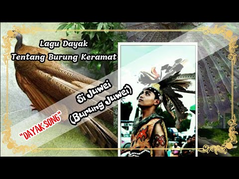 SI JUWEI (BURUNG JUEI) LAGU KALIMANTAN TENGAH BY PUSPO PRISTIWANTORO.mp4 SI JUWEI (BURUNG JUEI) LAGU KALIMANTAN TENGAH BY PUSPO PRISTIWANTORO.mp4