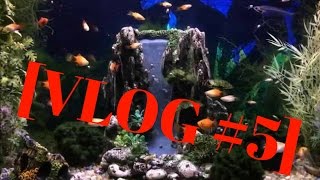 Parlons peu parlons poissons en gyroroue (monocycle électrique )