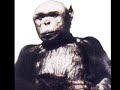 Humanzee by Tetra Pak Humanzee by Tetra Pak