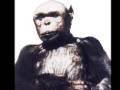 Humanzee by Tetra Pak