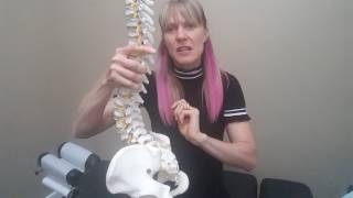 An Easy & Effective Solution for Hip & Back Pain Whilst Driving
