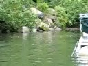 Grizzly Bear Viewing!
