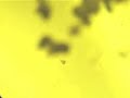 MICROSCOPIC UFO
