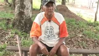 O uso da maconha na cultura indígena