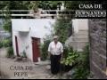 Mones por dentro Mones por dentro