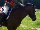 Summer Show..Clear Round..Charlz And Lauren Summer Show..Clear Round..Charlz And Lauren