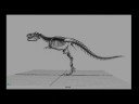 Animation