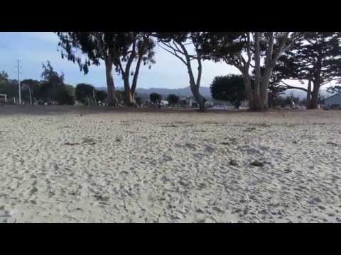 Video for Monterey Municipal Beach