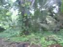 puna beachbum hot spring puna beachbum hot spring