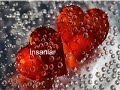 Zade Hangi Gün