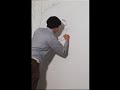 Michael C. Hsiung Artlapse Michael C. Hsiung Artlapse