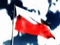 Polsko moja Matko dlaczego mnie znów zdradziłaś? W.Cejrowski