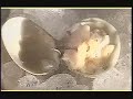 Gastronomía en el norte y noroeste Gastronomía en el norte y noroeste