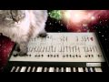 CR-8000 + KORG Delay + ARP Filters = NICE!