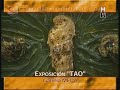 yin y yang

artista: fasanella 

la obra se compone de 12 cuadros:

1- el yin y el yang ? 120x120 cm. ? t�cnica mixta
2- trigrama ? yin k'un ? 194x120 cm. ? oro sobre lienzo/i ching
3-trigrama ? yang ch'ien ? 194x120 cm. oro sobre lienzo/ i ching
4-trigrama ? yang-yin li ? 194x120 cm. oro sobre lienzo/ i ching
5-tigre yang ? 120x120 cm. ? oro sobre lienzo/feng shui
6-drag�n yin? 120x120 cm. ? oro sobre lienzo/feng shui
7-hiperm�gico yin-yang ?const.34 ? 120x120 cm ? oro 18k esmeraldas/cuadrado m�gico 
8-hexagrama tai yin- yang? 120x194 cm. ? t�cnica mixta/ i ching
9-agua yin?cuadro m�gico ? const. 15 ? 120x120 cm.?t�c.mix/cuad. m
10-tierra yin ? cuadro m�gico?const.15 ? 120x120 cm?. t�c. mix/c.m
11-fuego yang ? cuadro m�gico?const.15 ? 120x120 cm. ?t�c. mix/c.m.
12-aire yang? cuadro m�gico?const.15 ? 120x120 cm. ? t�c. mix./c.m.