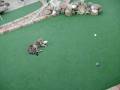 Golfing Cat pt.3