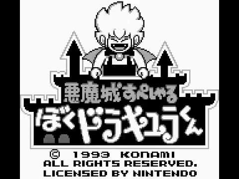 動画