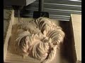 Blume CNC Micro Fr�smaschine Graviermaschine Milling Router